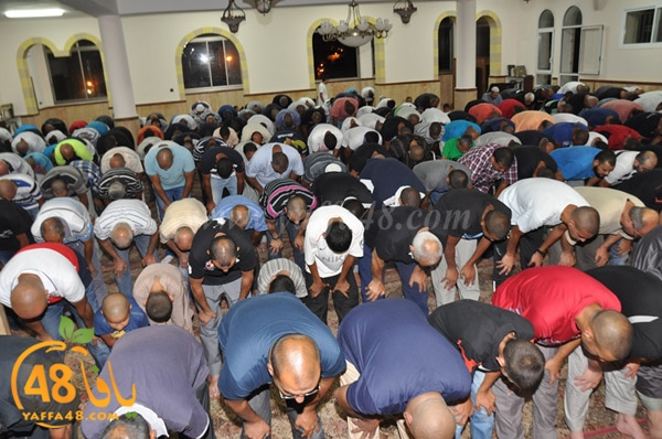 tarawee7 3ajamiwj (11).JPG